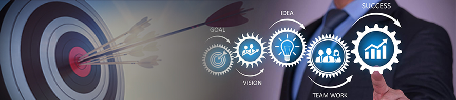 vision